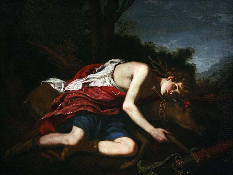 unknow artist Cyparissus, Jacopo Vignali oil painting picture